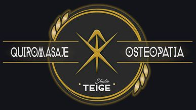 Studio Teige logo